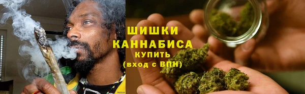 мет Новозыбков