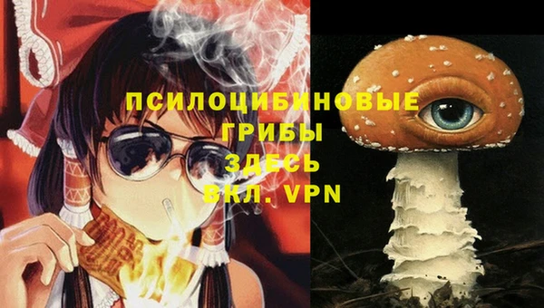 мет Новозыбков