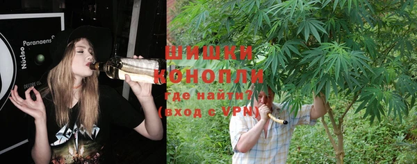 мет Новозыбков