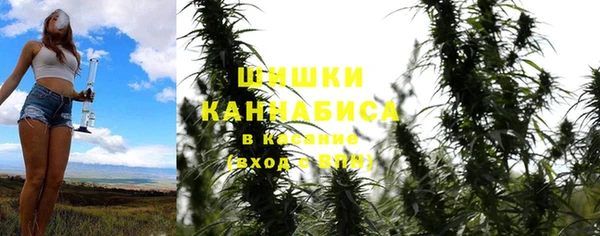 стафф Надым